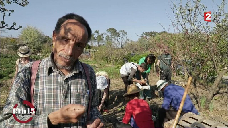 Dernier Et Ultime Cri De Colere De Pierre Rabhi Ecologie Vraie Et Reelle