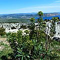 P1030158