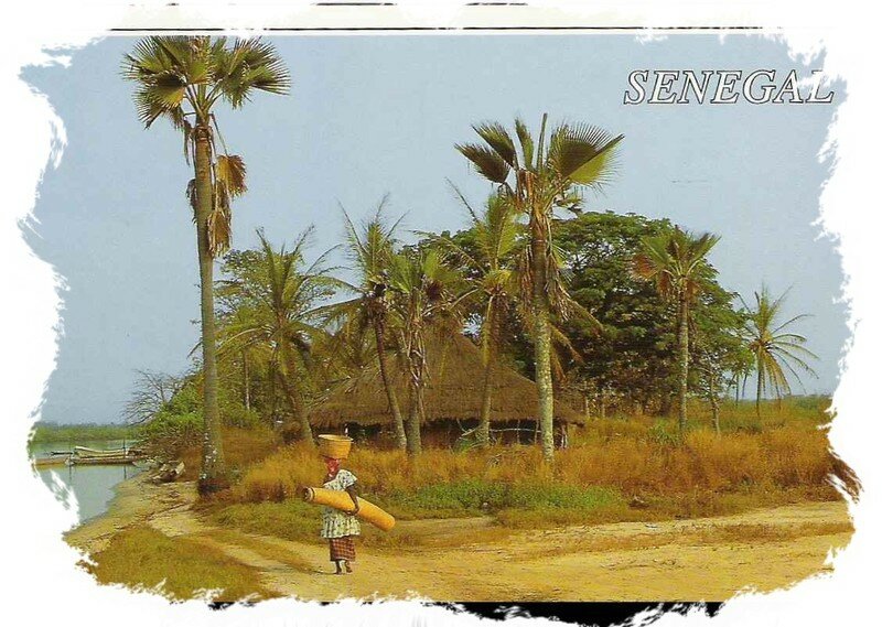 Photo du jour(269)La Casamance authentique  SeckasystemePhotos