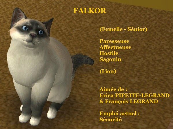 FALKOR