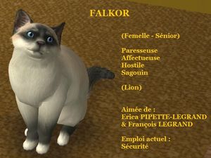 FALKOR