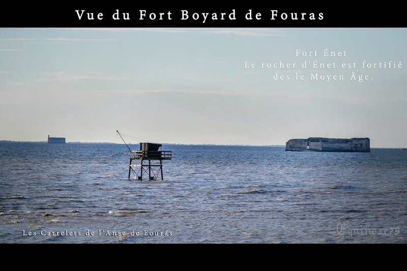 Vue du fort boyard fouras - Carrelet - Fort Enet