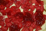 Flan_p_tissier_citron_framboise_006