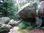 Pierre_Ginich_8