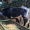 IMG_1575