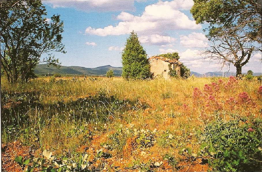 Cabanon en Provence