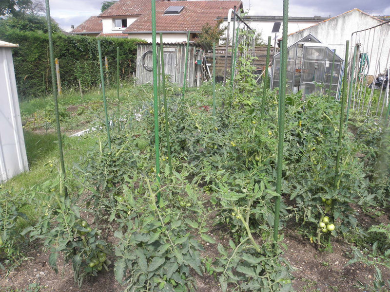 le jardin 011