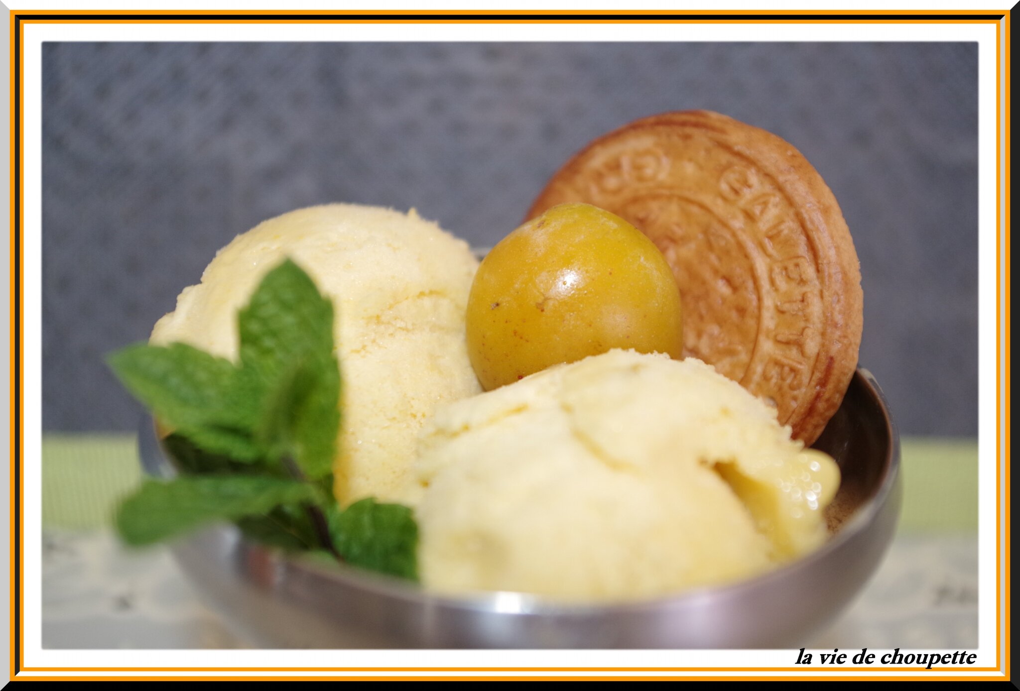 SORBET A LA MIRABELLE - Quand Choupette et Papoune cuisinent