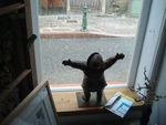 vitrine_balth_Motte