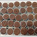 cupcakes nimes 2015-04-24 14