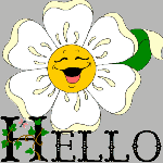 HELLO fleur en soleil FLyBPat19