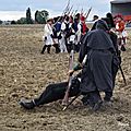 _IGP6972 (2)