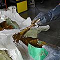 _IGP6164