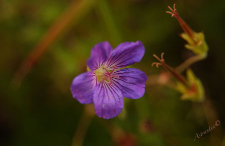 DSC_4149_border