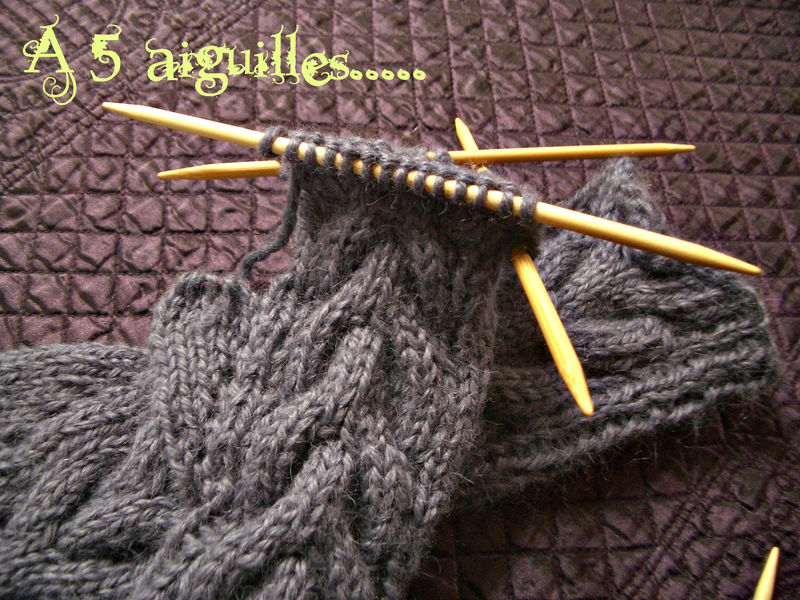 Bella_mittens_WIP