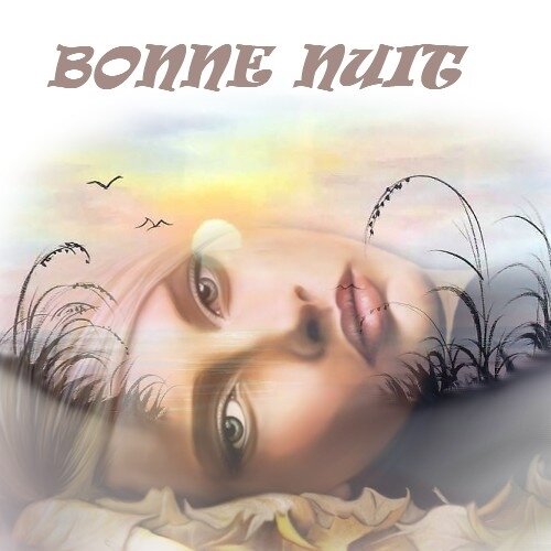 Bonne nuit 22