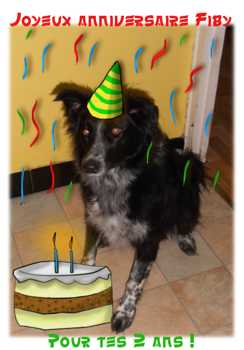 anniversairefiby2