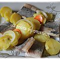 Filets de harengs marinés