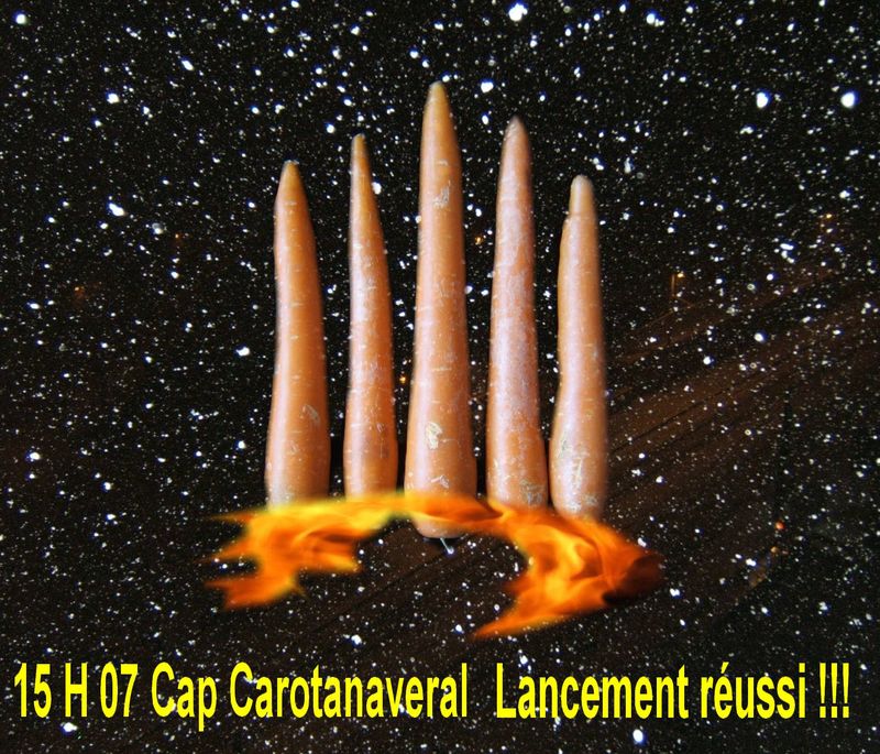 Les carottes sont cuites 2 Fanes de carottes