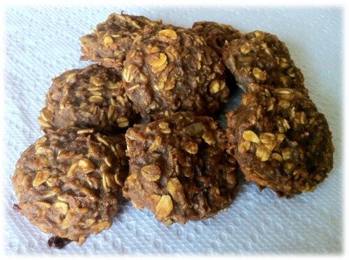 biscuitcheval (7)