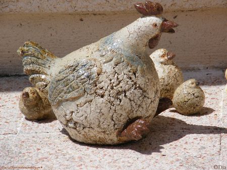 poule