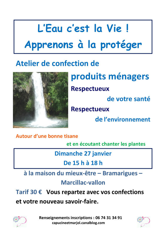 ATELIER PLANTES et PRODUITS MENAGERS 27 01 19