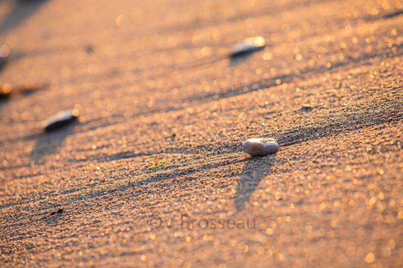 sable-plage-15-02