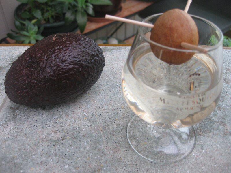 ON A FAIT POUSSER UN AVOCATIER ! TOUCHE A TOUT