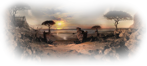 paysage 1