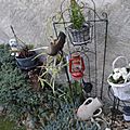 _DSC0007