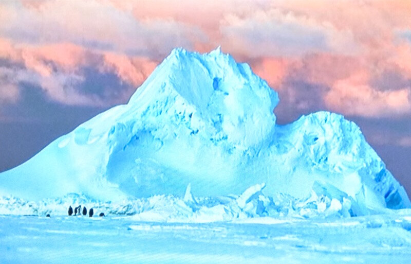 Antarctica Sur Les Traces De L Empereur Antartica, sur les traces de l'empereur - par delà la surface lisse des