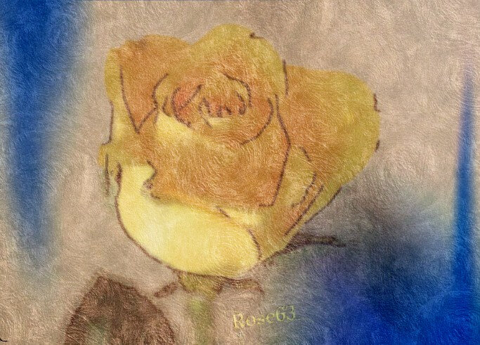 EnJaune et bleu vive l'ASM Rose63