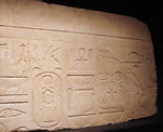 Palais_Saint_Pierre_mus_e_10