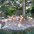 Audubon Park et Zoo (33)