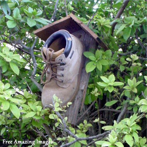 26-Birds-House