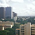 Image (11)