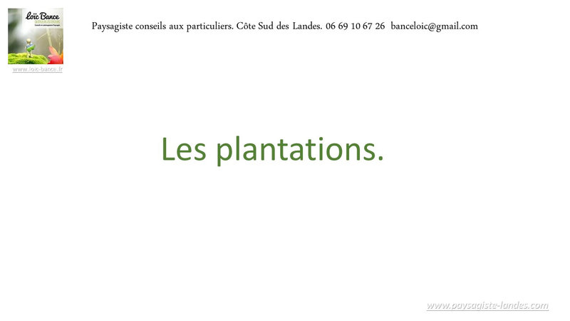 Paysagiste-Saint-Martin-de-Seignanx-Paysagiste-Landes-Avril-2022-24