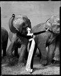 ph_avedon_dovimawithelephants