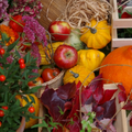2010-10-02_233428