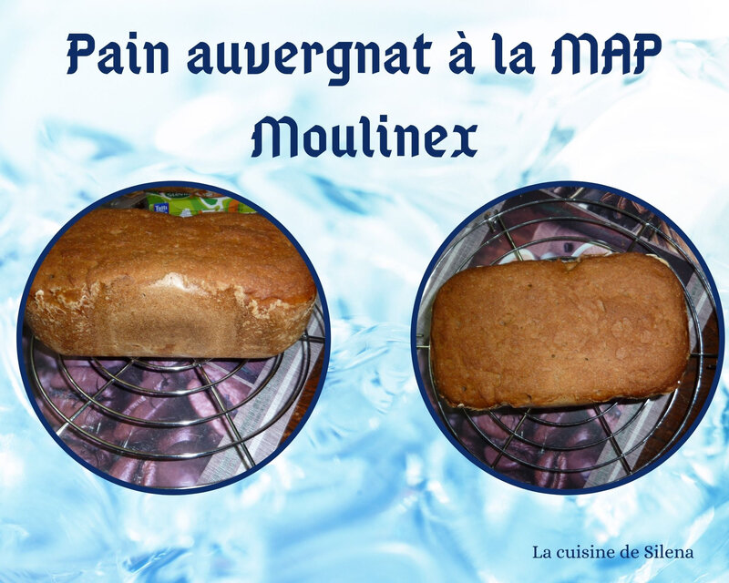 Pain auvergnat à la MAP Moulinex(2)
