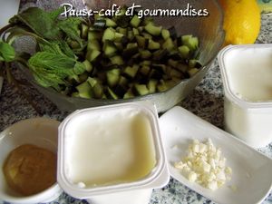 concombre___la_menthe_et_au_yaourt