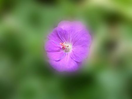 P1070162 copie