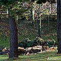 DSC03085