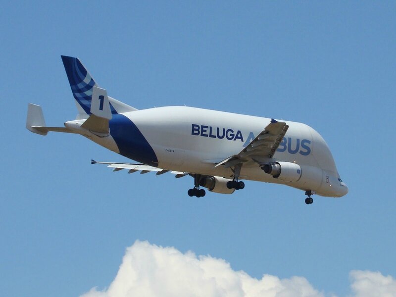 Belluga-2014-06-17