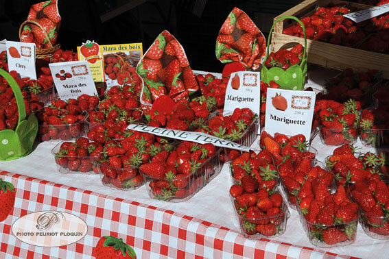 SAINTE_BAZEILLE_Fete_de_la_fraise_Stand_fraises_Clery_Mara_Mariguette