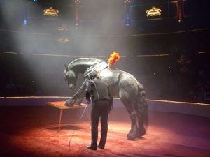 Cirque_031