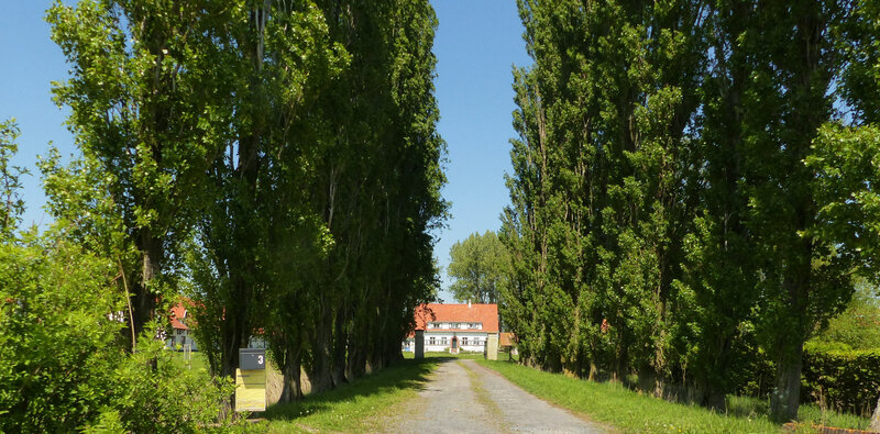 P1160853