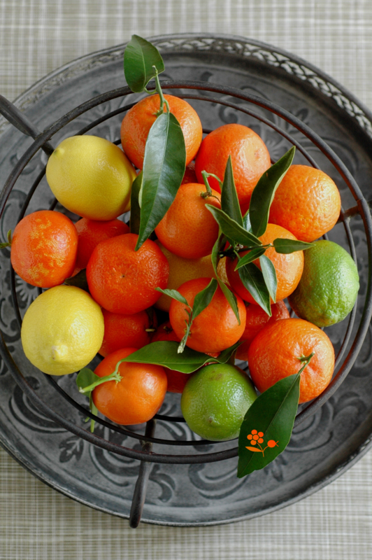 Citrons & clémentines