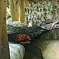 IMG_E6796