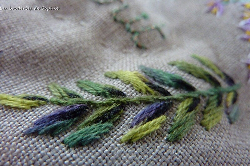 Defibroderiegreen2 (16)